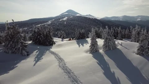 Winter Snow-Covered Trees and Mountain Aerial View - Drone Footage Stock Footage 325189513