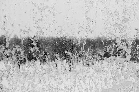 Winter snow-covered window close-up in cloudy weather. 写真素材