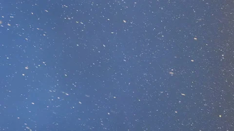 Winter snow dark sky at evening. Snowfall Vidéo 237884390