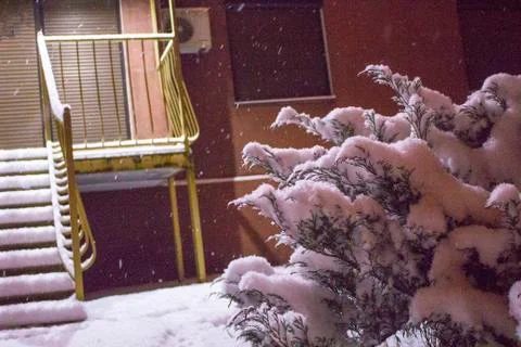 Winter snow evening Stock Photos