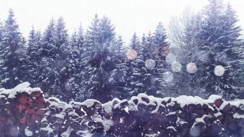 Winter Snow Fall Background 4K Animation - Happy Christmas Theme Winter Snowf Stock Footage 222033881