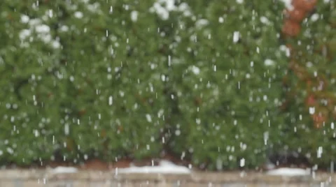 Winter Snow Fall Background &amp; Bokeh Slow Motion Vídeo Stock 44011703