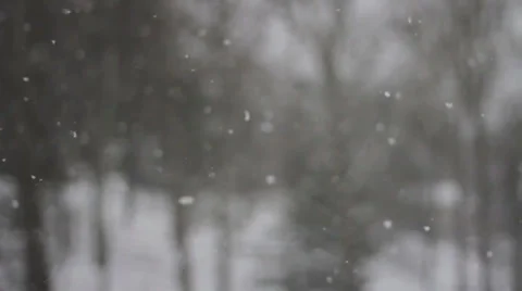 Winter Snow Fall Stock Footage 38223210