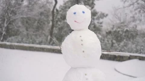 Winter snow fall in mountain cold pine tree wooded hill side snowman Stock Footage 86204205