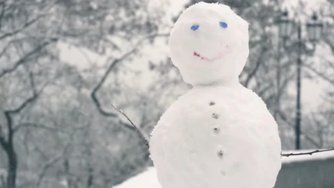 Winter snow fall in mountain cold pine tree wooded hill side snowman Stock Footage 86214779