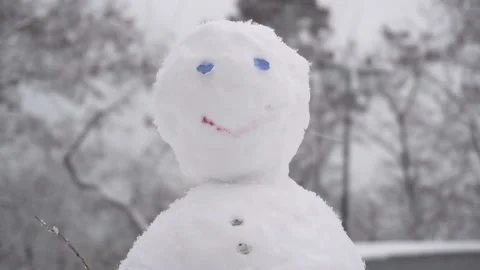 Winter snow fall in mountain cold pine tree wooded hill side snowman Stock Footage 86215140