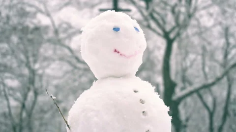 Winter snow fall in mountain cold pine tree wooded hill side snowman Stock Footage 86234686