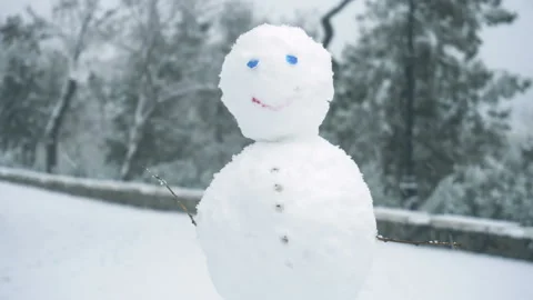 Winter snow fall in mountain cold pine tree wooded hill side snowman Stock Footage 86245544