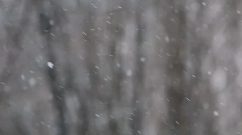 Winter snow fall with tree on back Video stock 45980936