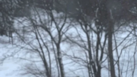 Winter Snow Fall View in Montreal, Canada Stock Footage 75293565