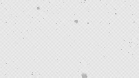 Winter snow falling with alpha, looped Stock Footage 163205496