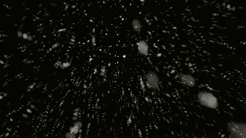 Winter snow falling on black background Stock Footage 164345208