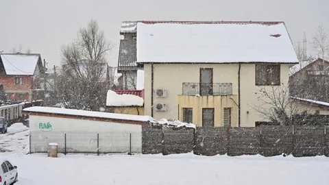 Winter Snow falling during day Stock Footage 124326550