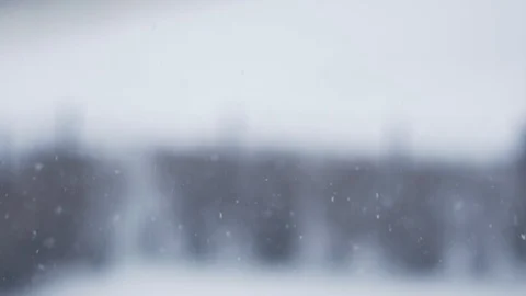 Winter. Snow Falling. 動画素材 87247072