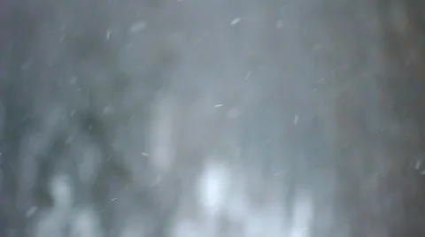Winter Snow Falling HD Stock Footage 33647061