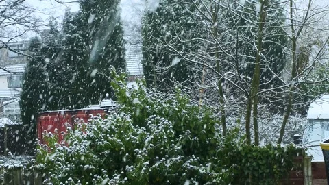 Winter snow falling onto nature Stock Footage 84949690