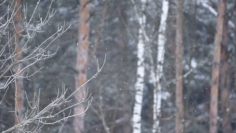 Winter snow falling. Slow motion Stock Footage 85072099