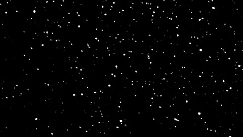 Winter Snow, Falling snow animation loop Slow motion Stock-Footage 309290732