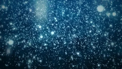 Winter Snow, falling snow blizzard  winter background Stock Footage 215778081