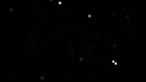 Winter Snow, falling snow isolated on black background to be used for composing Stock Footage 123017996
