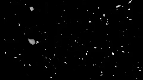 Winter Snow, falling snow isolated on black background Stock Footage 171001467