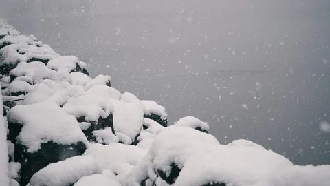 Winter, snow falling, snowflake in slow motion Stock Footage 121514280