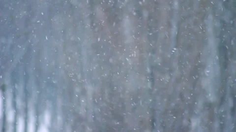 Winter Snow Falling on Trees HD 스톡 동영상 33624458