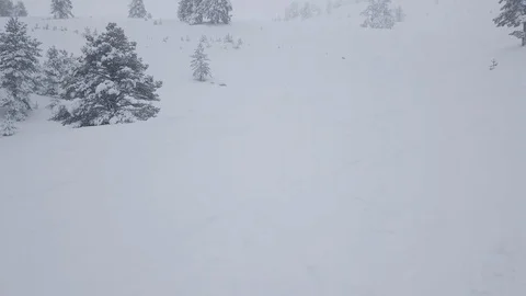 Winter snow falls in the forest 스톡 동영상 101250705