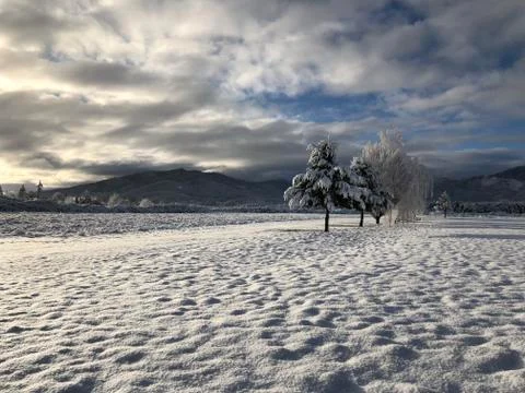 Winter Snow Field Stock Photos