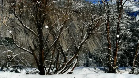 Winter Snow Flury in Canyon Stock Footage 10032402