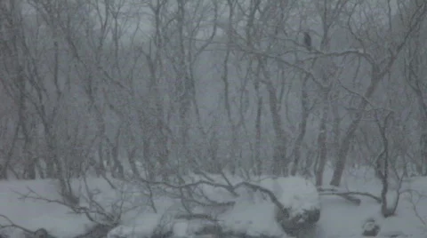 Winter, snow Video stock 874930