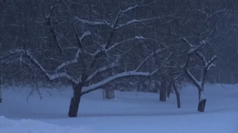 Winter Snow Stock Footage 33255870