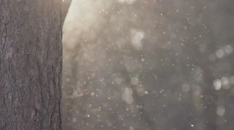 Winter snow Stock Footage 55870360