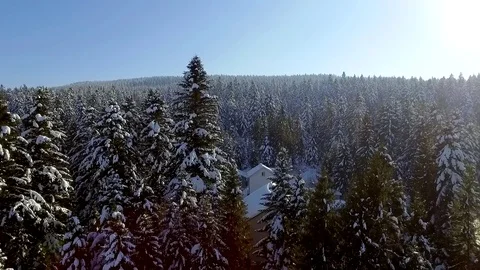 Winter snow forest in mountains Stock-Footage 129421878