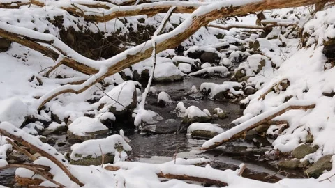 Winter snow forest river landscape. Stock Footage 256036858