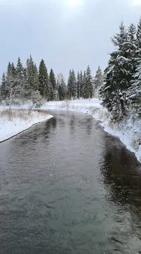 Winter snow forest river view. Winter forest river landscape. Snowy winter fo Stock Photos