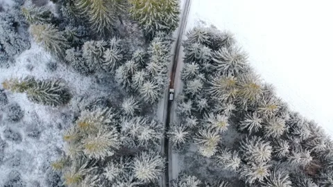 Winter snow forest small steet lonly car driving drone shot Inspire2 4k Stock Footage 252499805