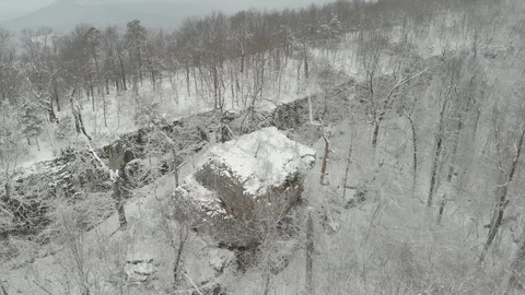 Winter Snow Forest Terrain Stock Footage 108179982