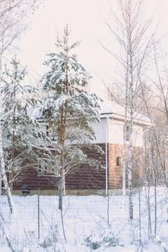 Winter, snow, hard light, forest, village, country life Stock Photos
