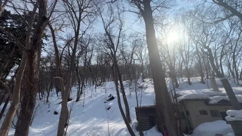 Winter Snow Hill Bare Trees Sun Hokkaido Japan 스톡 동영상 347754918