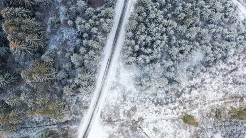 Winter snow landscape empty street through a forest Inspire2 4k Stock Footage 253401380