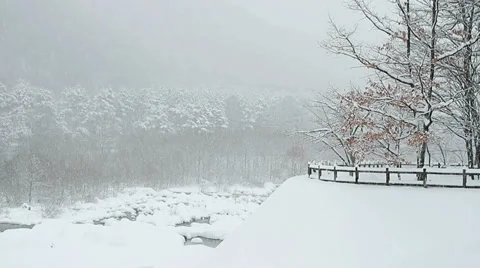Winter snow landscape. Stock Footage 35203942