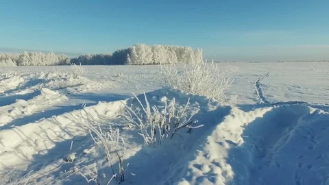 Winter snow landscape Stock Footage 71819790