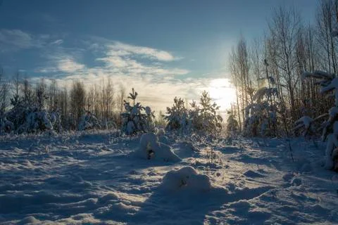 Winter snow landscape in the rays of the setting sun on December day. Stock Photos