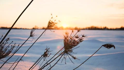 Winter Snow Landscape Sunset. Snow Melting Stock Footage 150462002