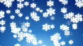 Winter snow loop HD Footage