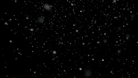 Winter Snow Looping Animation. Large and Small Snowflakes Falling Down. Stock Footage