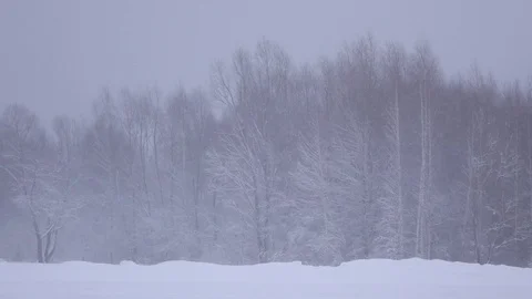 Winter Snow at Low Angle Stock Footage 102447424