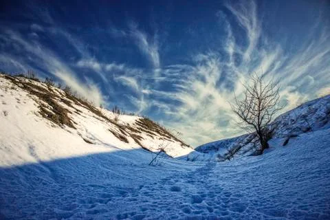 Winter Snow mountain tree sky blue morning frost high landscape Stock Photos