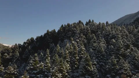 Winter snow mountains with trees Stock Footage 167298997